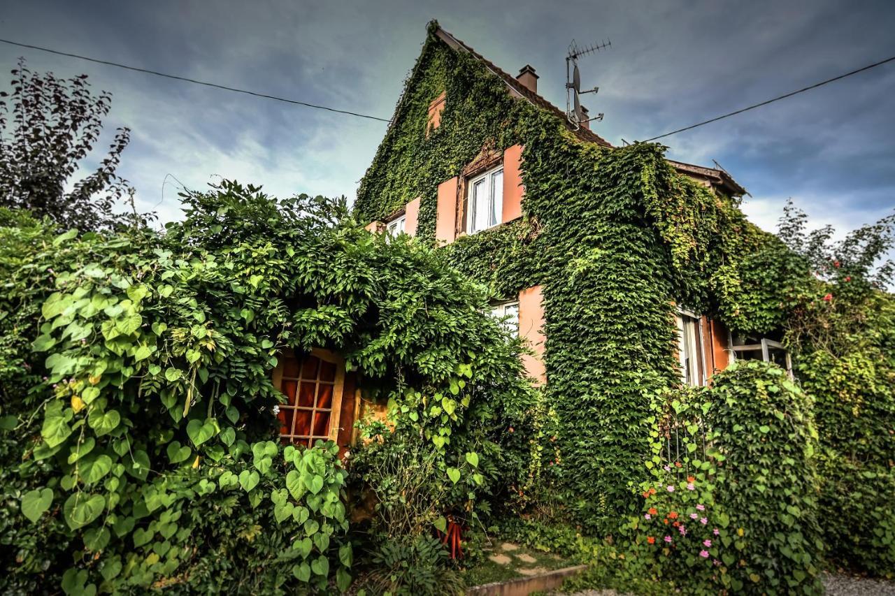 ❊ Au Murmure De L'Eau Au Coeur De L'Alsace ❊ Ebersheim Exterior foto